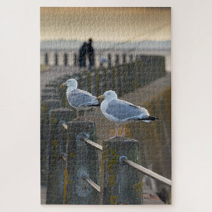 Puzzle Gaviotas en el paseo marítimo de Silloth, Cumbria