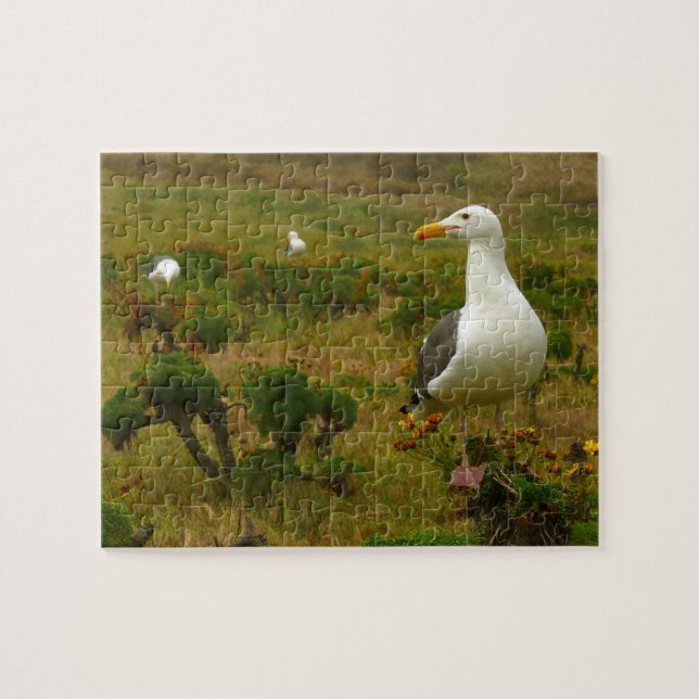 Puzzle Gaviotas en la isla Anacapa (Horizontal)