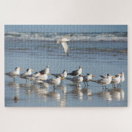 Puzzle Gaviotas en la playa de Florida