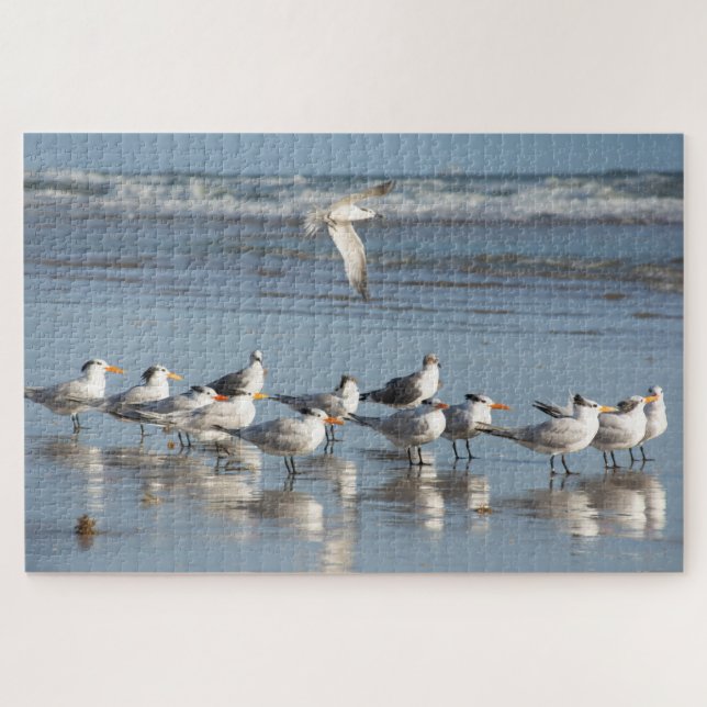 Puzzle Gaviotas en la playa de Florida (Horizontal)