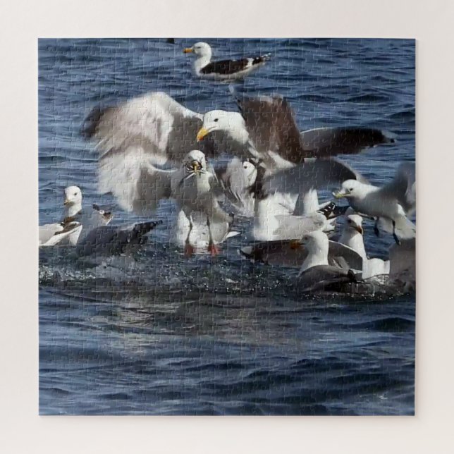 Puzzle Gaviotas Energéticas Frenesí de Alimentación Océan (Vertical)