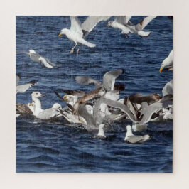 Puzzle Gaviotas Majestuosas Cazando Anguilas de Arena Sob