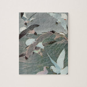 Puzzle Gaviotas sobre olas del océano por Louis Agassiz F
