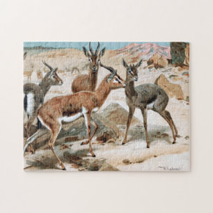 Puzzle Gazelle