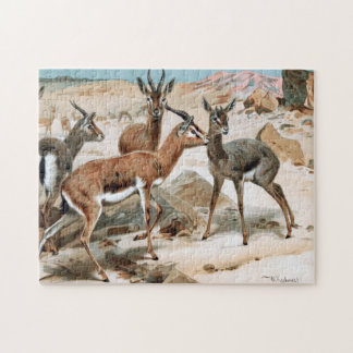 Puzzle Gazelle