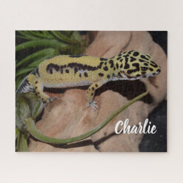 Puzzle Gecko del Leopardo Amarillo Negrita