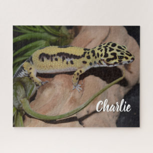 Puzzle Gecko del Leopardo Amarillo Negrita