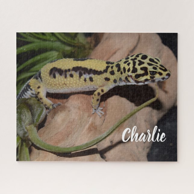 Puzzle Gecko del Leopardo Amarillo Negrita (Horizontal)