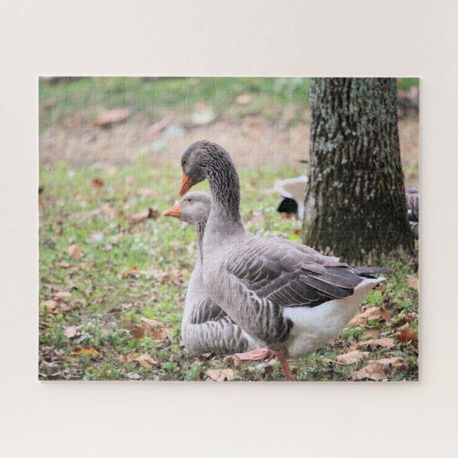 Puzzle Geese (Horizontal)