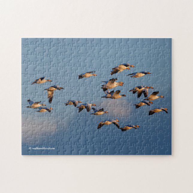 Puzzle Geese de nieve en el vuelo de Sunset (Horizontal)