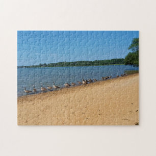 Puzzle Geese en el lago Silver, Wisconsin