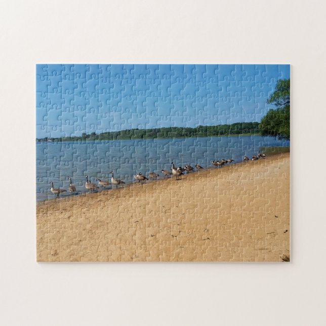 Puzzle Geese en el lago Silver, Wisconsin (Horizontal)