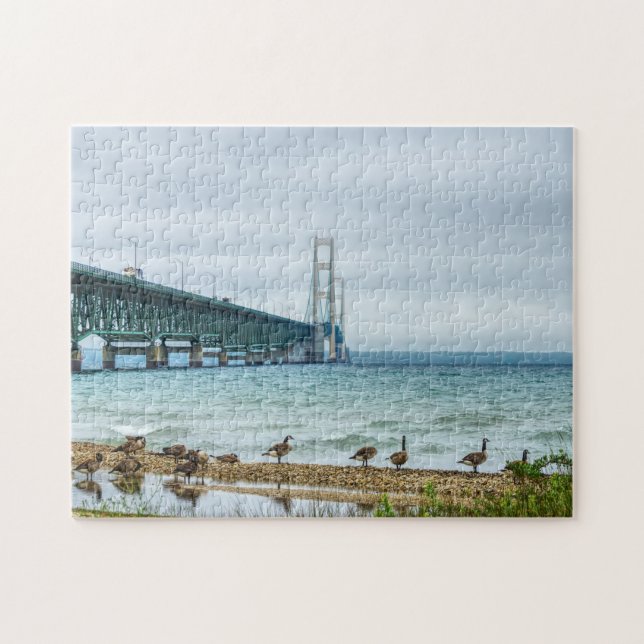 Puzzle Geese En Mighty Mac (Horizontal)