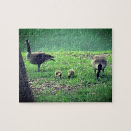 Puzzle Geese y Goslings Relajando el Autocuidado