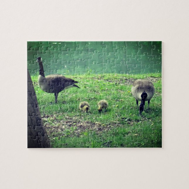 Puzzle Geese y Goslings Relajando el Autocuidado (Horizontal)