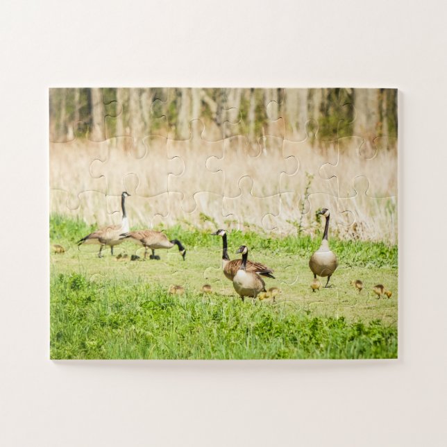 Puzzle Geese y Goslings sobredimensionados (Horizontal)