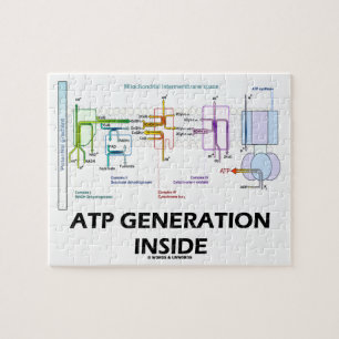 Puzzle Generación del ATP dentro de la cadena de