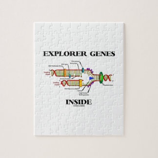 Puzzle Genes del Explorador interno (replicación del ADN)