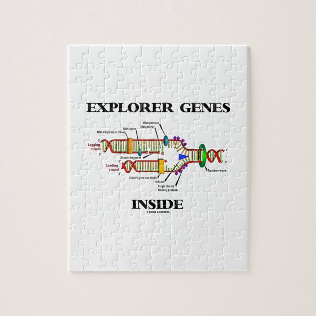 Puzzle Genes del Explorador interno (replicación del ADN) (Vertical)