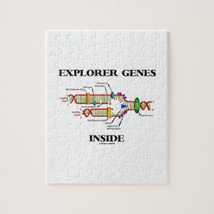 Puzzle Genes del explorador internos (replicación del AD