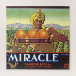 Puzzle Genio milagroso ilustrado 20x20