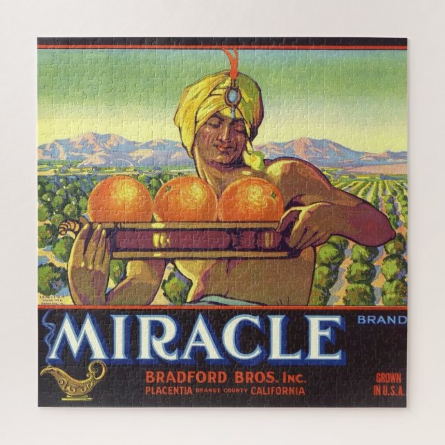 Puzzle Genio milagroso ilustrado 20x20 (Vertical)