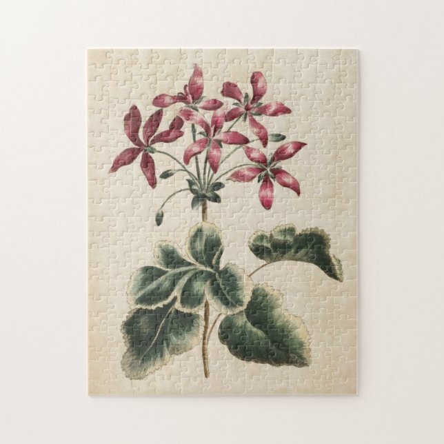 Puzzle Geranio Floral Botánico Vintage (Vertical)