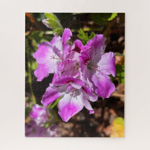 Puzzle Geranio Martha Washington Rosa Lavanda, Oakland