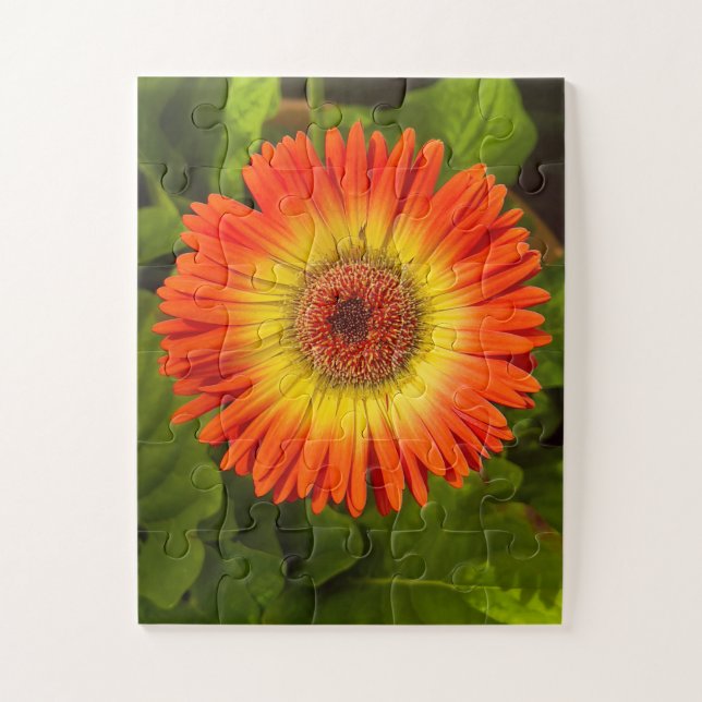 Puzzle Gerbera Sunburst | Tributo al Alzheimer (Vertical)