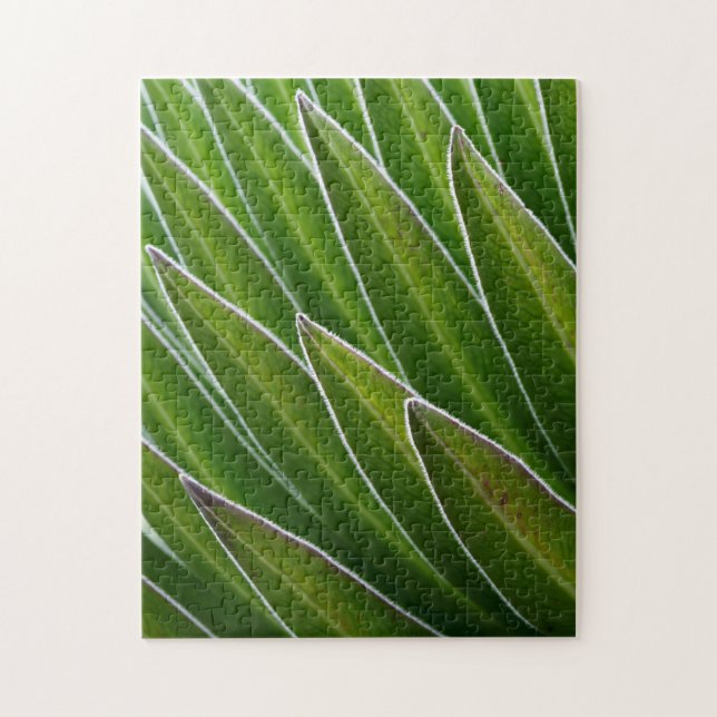 Puzzle Giant Lobelia (Lobelia telekii)| Kenia, África (Vertical)