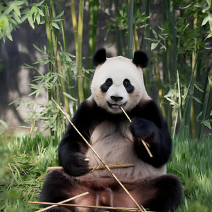 Puzzle Giant Panda Bamboo