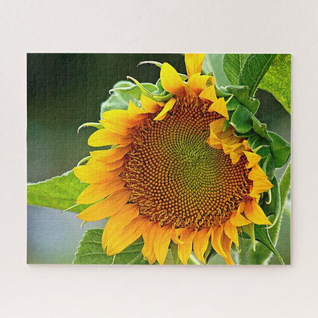Puzzle Giant Sunflower (Horizontal)
