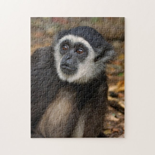 Puzzle Gibbon de manos blancas (Hylobates Lar), Monkeylan (Vertical)