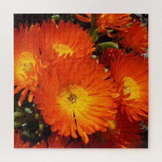 Puzzle Gigante Naranja Daisies, (Vertical)