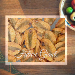 Puzzle Gigantes futuros, semillas de secuoyas gigantes