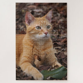Puzzle Ginger Cat fuera del otoño deja retrato