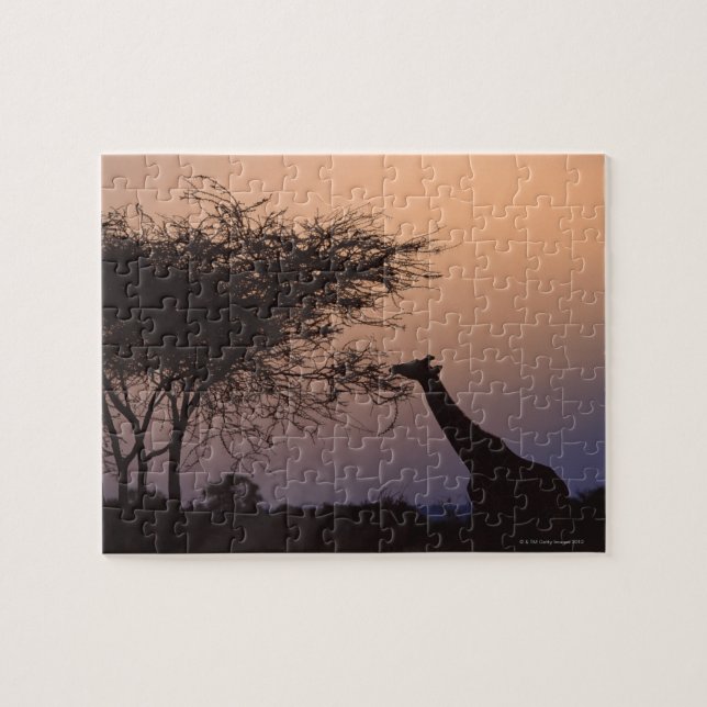 Puzzle Girafa reticulada 2 (Horizontal)