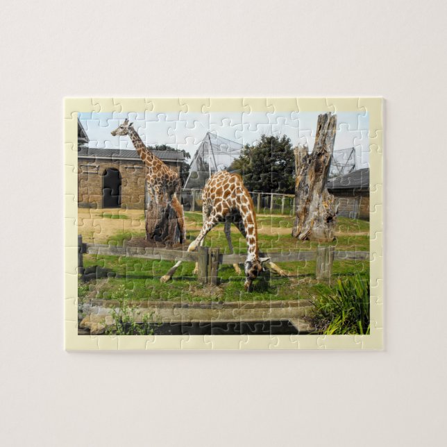 Puzzle Girafas (Horizontal)