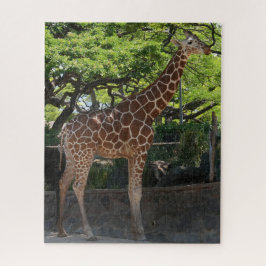 Puzzle Giraffe