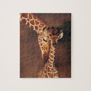 Puzzle Giraffe de adultos con ternera (Giraffa camelopard