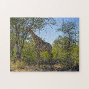 Puzzle Giraffe en el Hábitat Natural, África