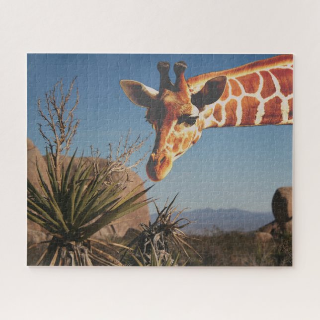 Puzzle Giraffe en Joshua Tree Park Travel Scene Cute Fun (Horizontal)