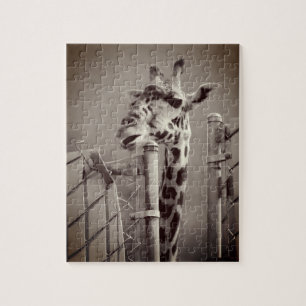Puzzle Giraffe Fotografía - Estilo de época