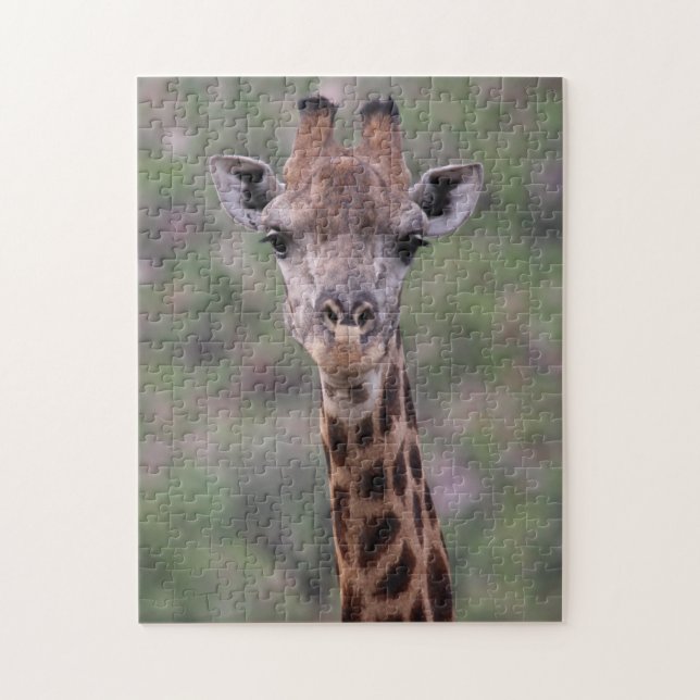 Puzzle Giraffe Headshot (Vertical)