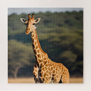 Puzzle Giraffe Standing Tall