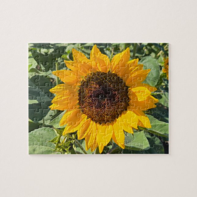 Puzzle Girasol (Horizontal)