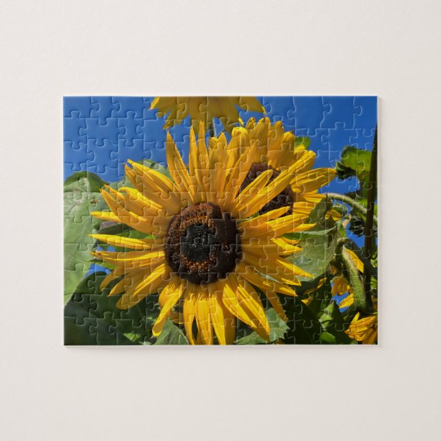 Puzzle Girasol (Horizontal)