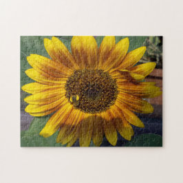 Puzzle Girasol