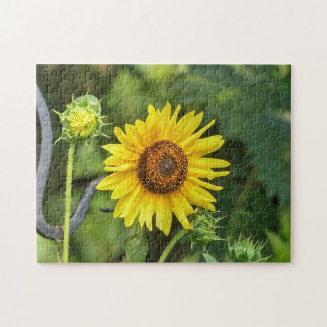 Puzzle Girasol (Horizontal)
