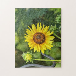 Puzzle Girasol